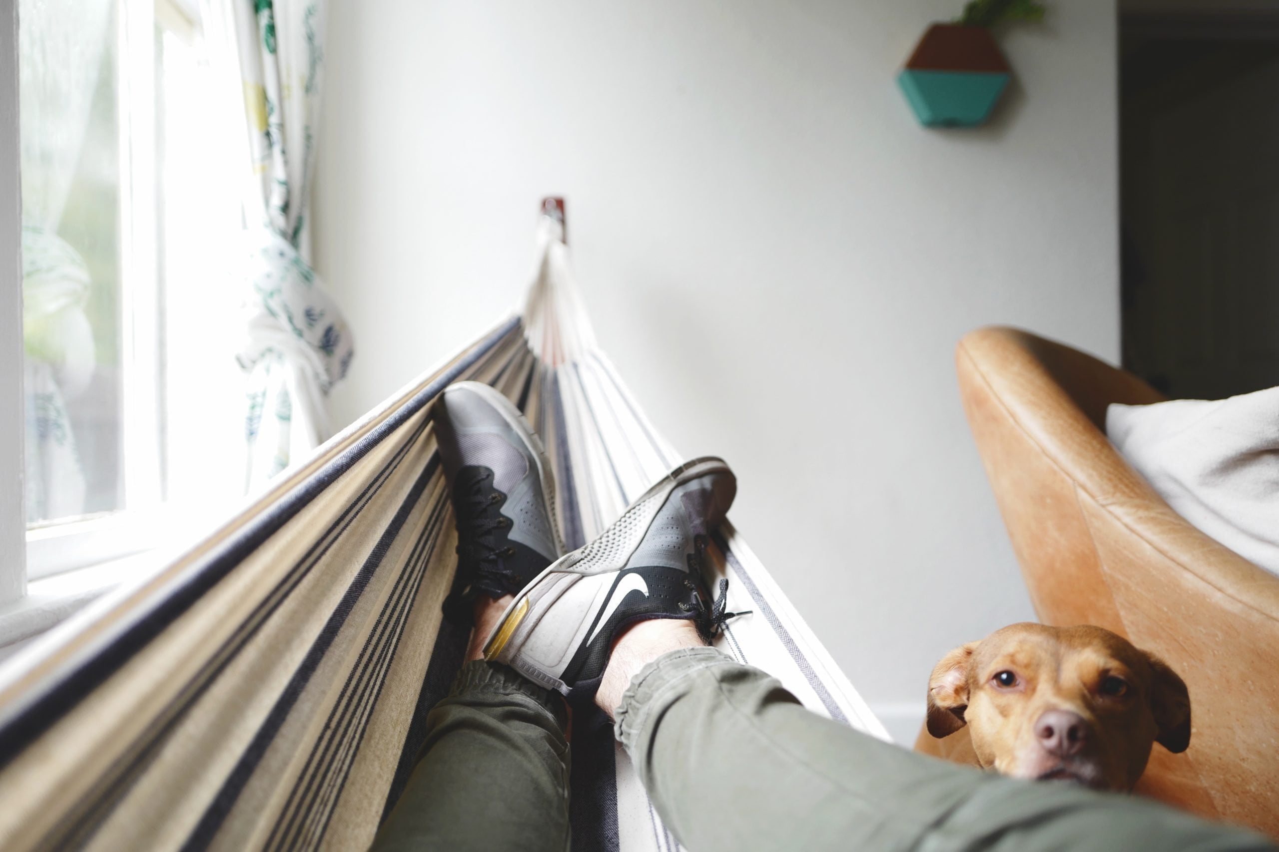 A man practicing self care by relaxing on a hammock next to his dog.